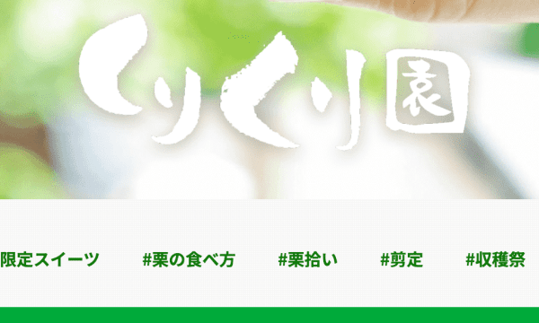 サイト制作時のポイント