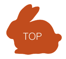 トップに戻るボタン